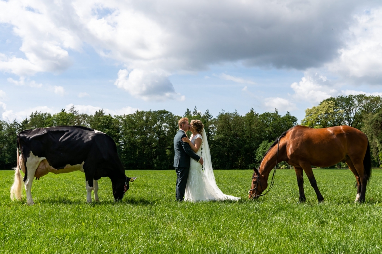 trouwen, trouwen in Twente, liefde, echt, momenten, fotograaf, trouwfotograaf, bruidsfotografie, echte momenten, buiten trouwen, thuis trouwen, in eigen tuin, juliantien fotografie, schipper fotograaf, echte momenten, koe, paarden